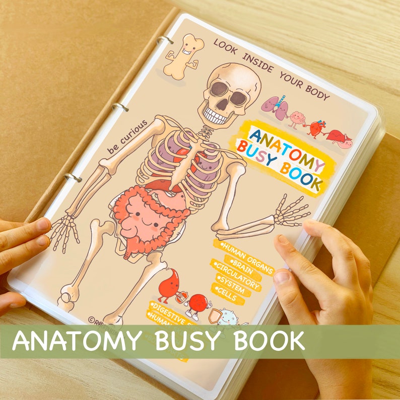 Human Anatomy Busy Book Printable